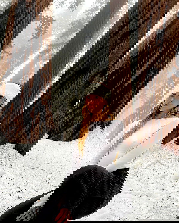 carolinezalog carolinezalog archive image