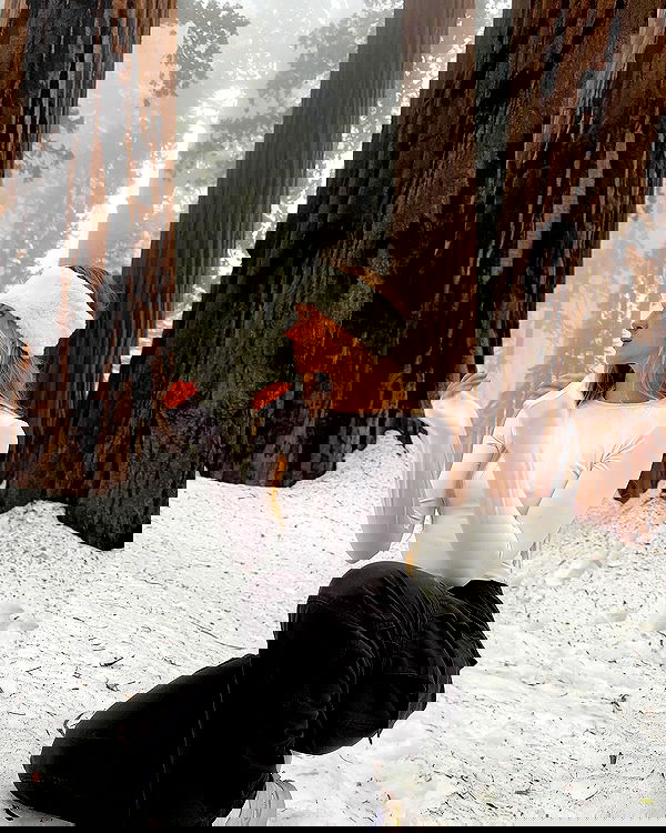 carolinezalog carolinezalog archive image