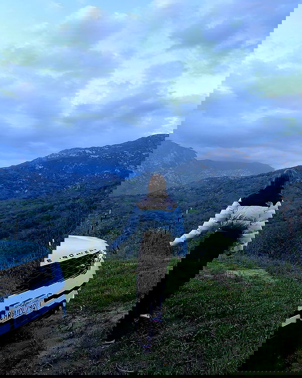 carolinezalog carolinezalog archive image