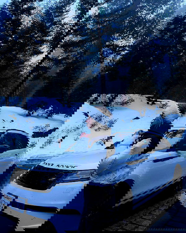 carolinezalog carolinezalog archive image