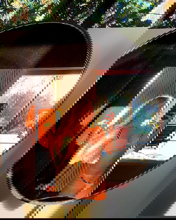 carolinezalog carolinezalog archive image