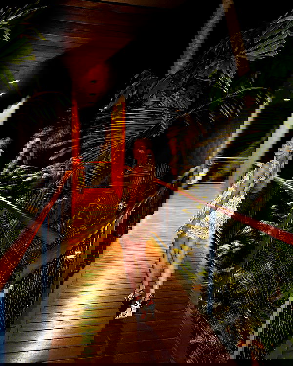 carolinezalog carolinezalog archive image