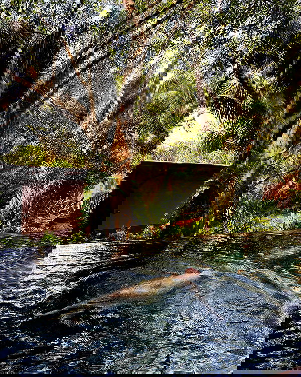 carolinezalog carolinezalog archive image