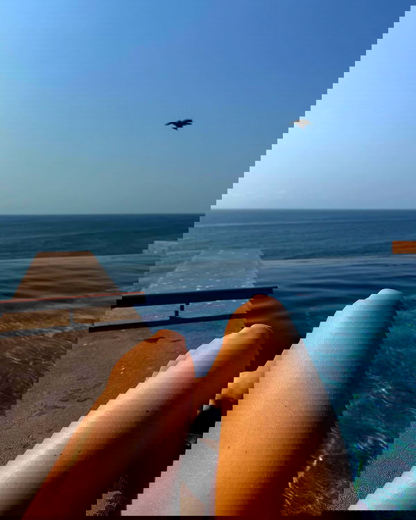 carolinezalog carolinezalog archive image