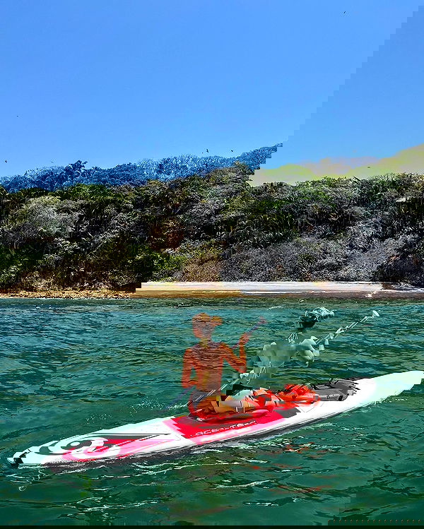 carolinezalog carolinezalog archive image