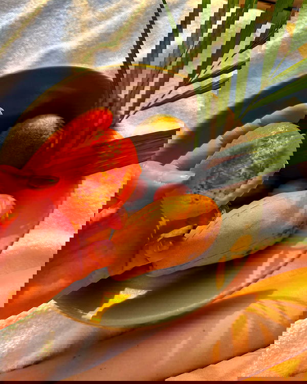 carolinezalog carolinezalog archive image