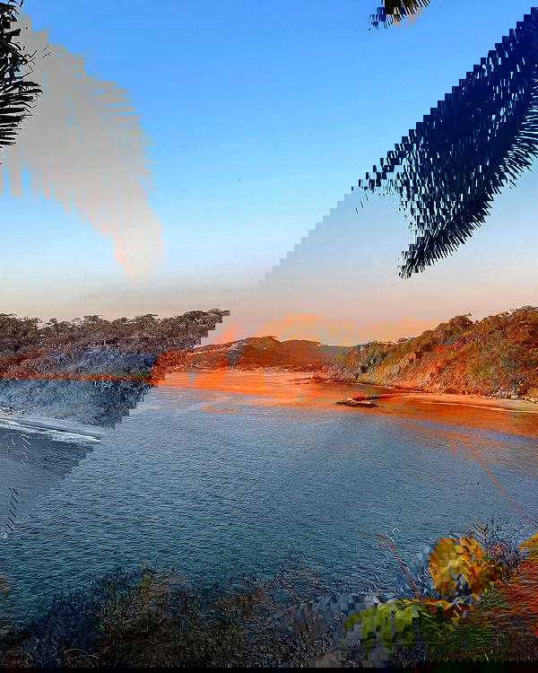 carolinezalog carolinezalog archive image