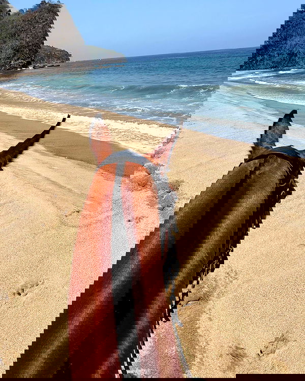 carolinezalog carolinezalog archive image