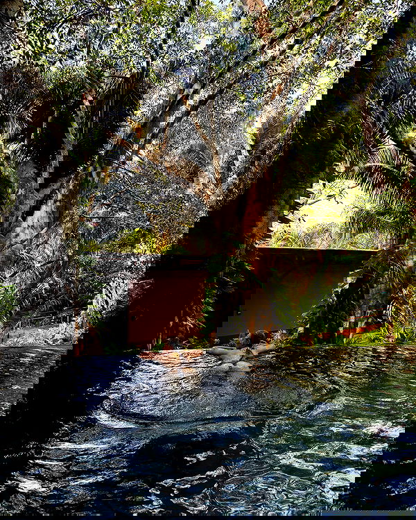 carolinezalog carolinezalog archive image