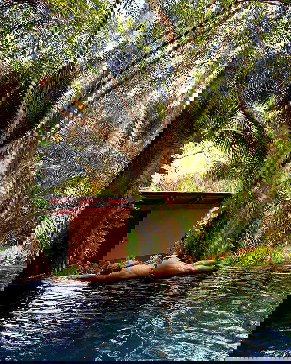 carolinezalog carolinezalog archive image