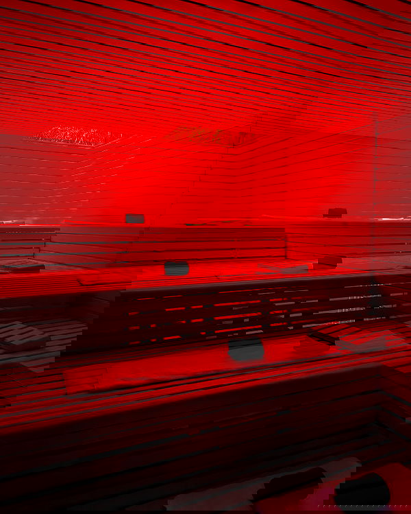 carolinezalog carolinezalog archive image