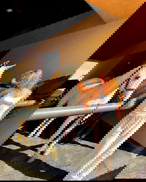 carolinezalog carolinezalog archive image