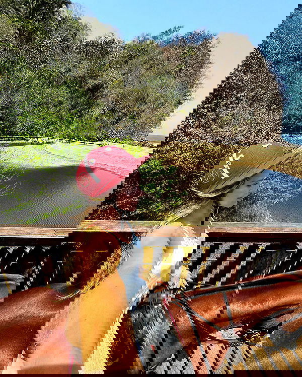 carolinezalog carolinezalog archive image