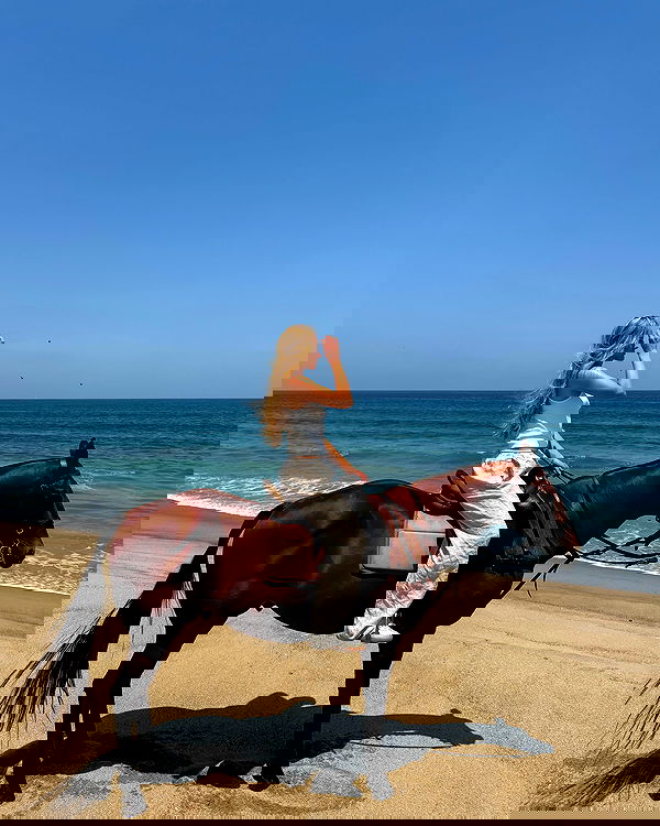 carolinezalog carolinezalog archive image