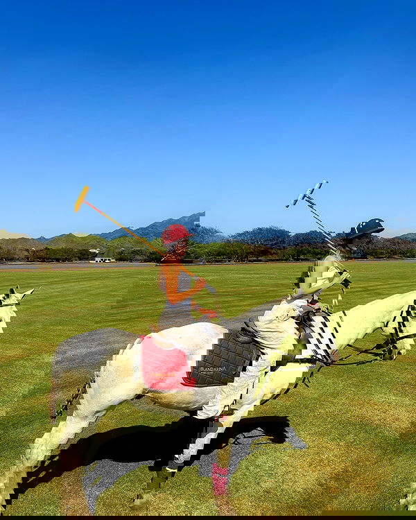 carolinezalog carolinezalog archive image