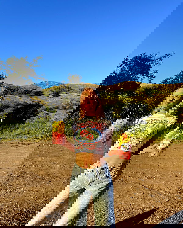 carolinezalog carolinezalog archive image