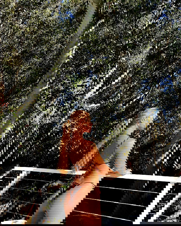 carolinezalog carolinezalog archive image