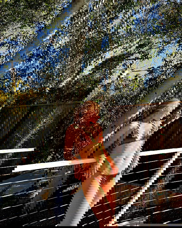 carolinezalog carolinezalog archive image