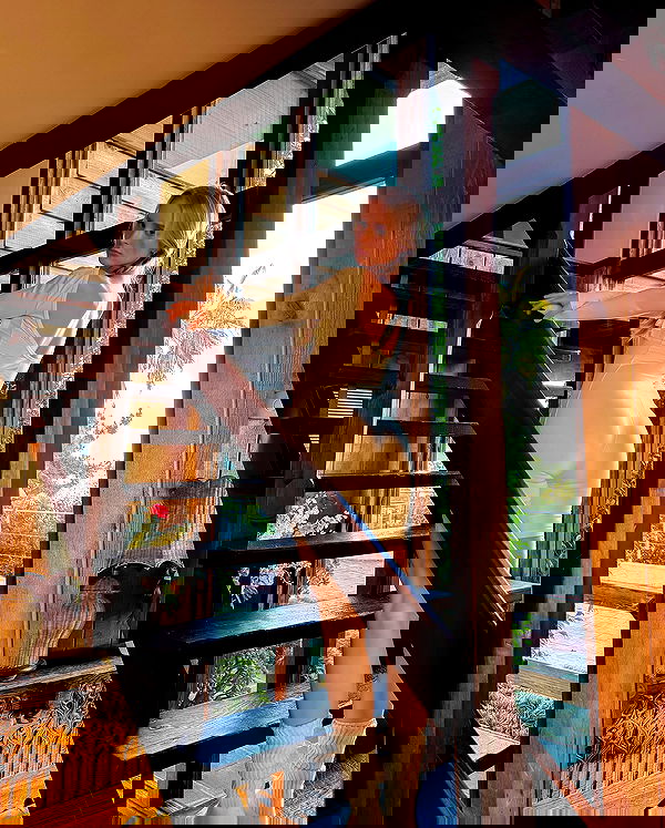 carolinezalog carolinezalog archive image