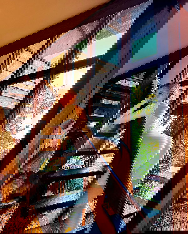 carolinezalog carolinezalog archive image