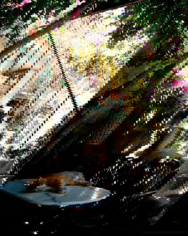 carolinezalog carolinezalog archive image