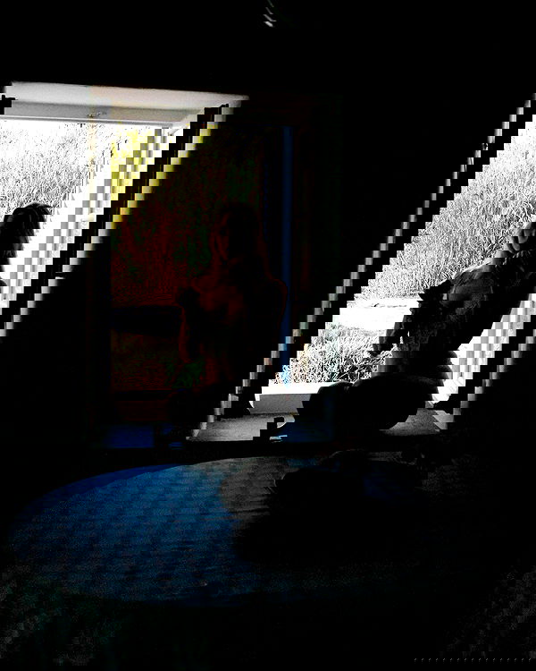 carolinezalog carolinezalog archive image