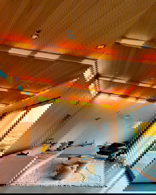 carolinezalog carolinezalog archive image