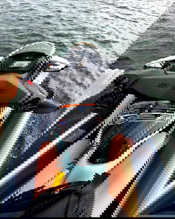 carolinezalog carolinezalog archive image