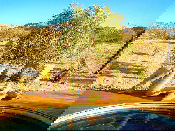 carolinezalog carolinezalog archive image