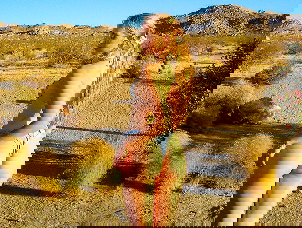 carolinezalog carolinezalog archive image