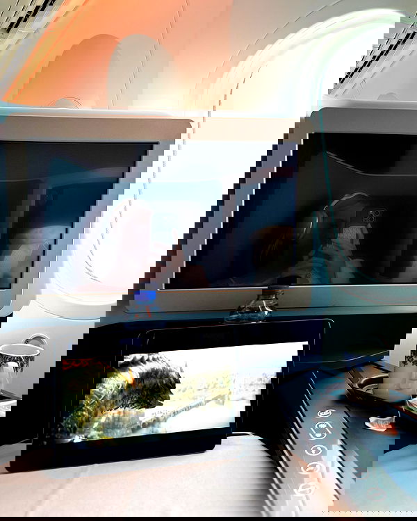 carolinezalog carolinezalog archive image