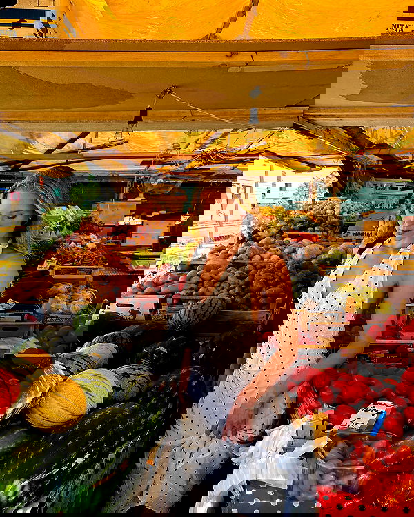 carolinezalog carolinezalog archive image