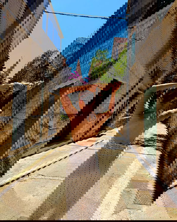 carolinezalog carolinezalog archive image