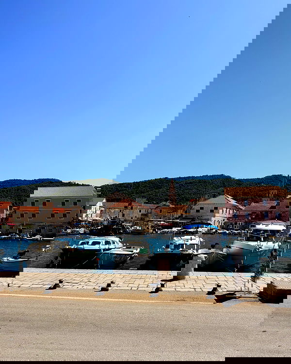 carolinezalog carolinezalog archive image