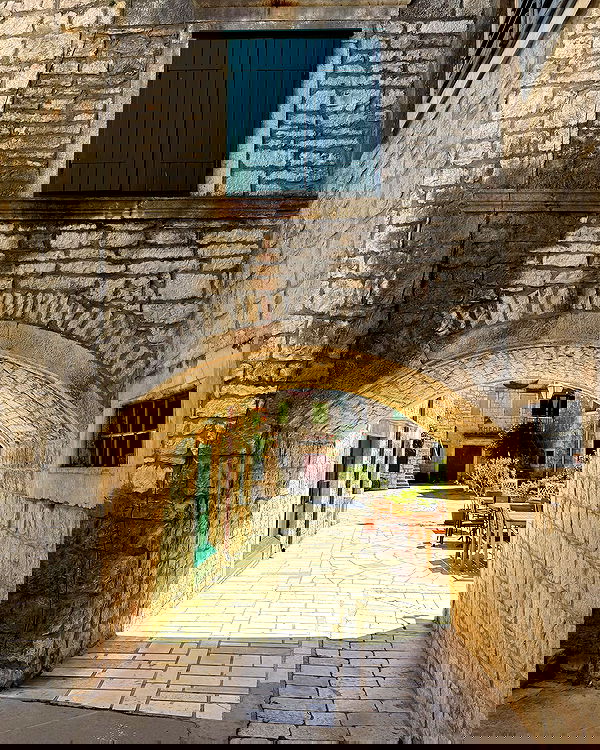 carolinezalog carolinezalog archive image