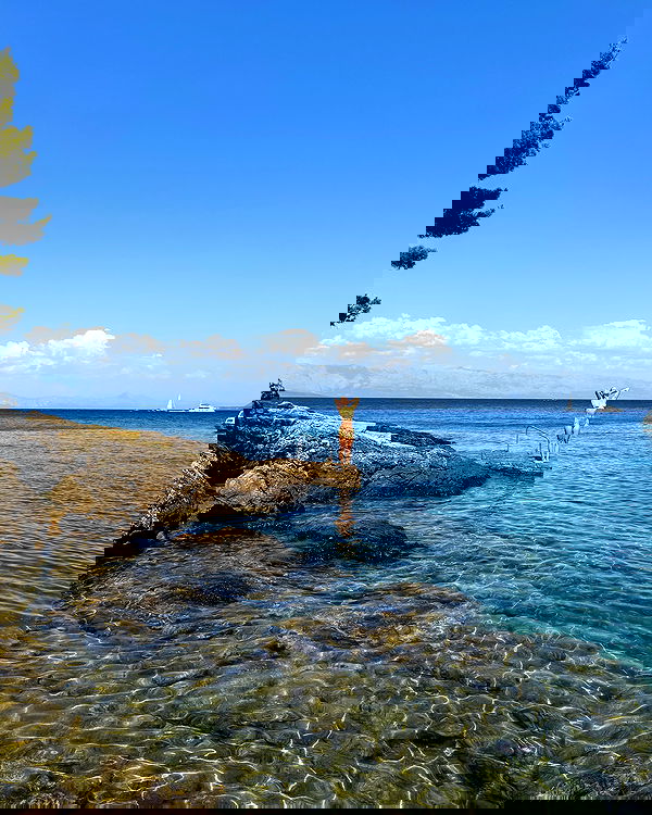 carolinezalog carolinezalog archive image