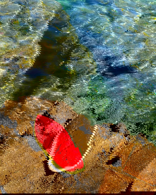 carolinezalog carolinezalog archive image