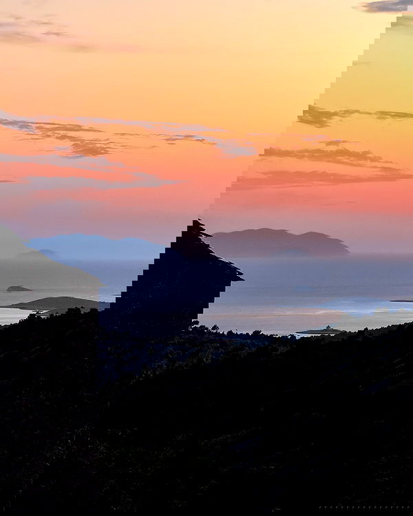 carolinezalog carolinezalog archive image