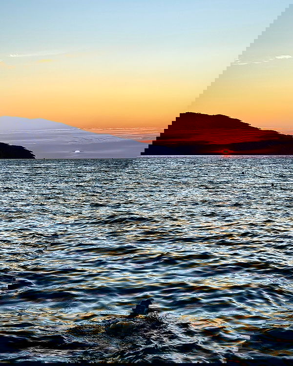 carolinezalog carolinezalog archive image