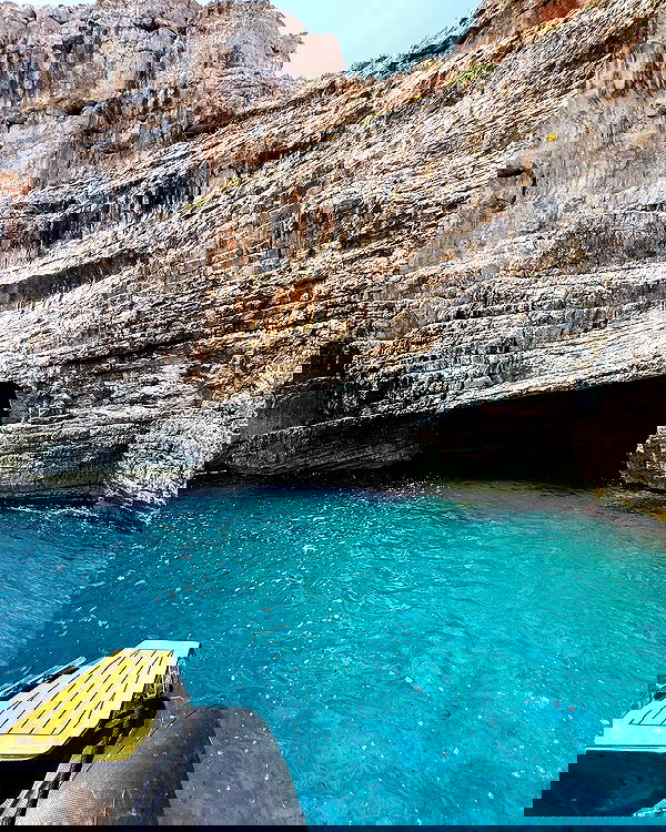 carolinezalog carolinezalog archive image