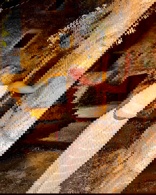 carolinezalog carolinezalog archive image