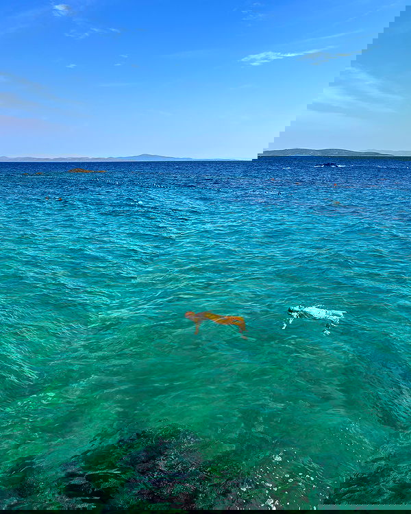 carolinezalog carolinezalog archive image