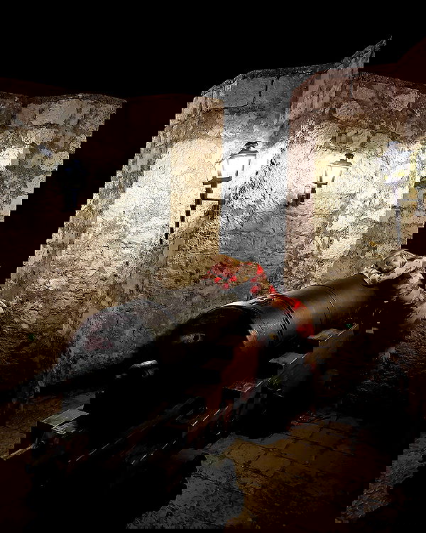 carolinezalog carolinezalog archive image