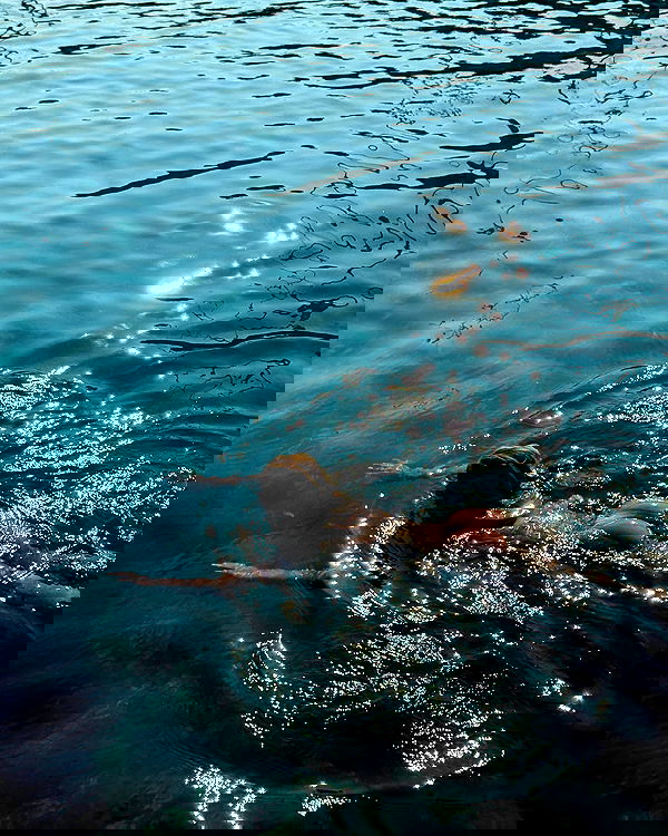 carolinezalog carolinezalog archive image