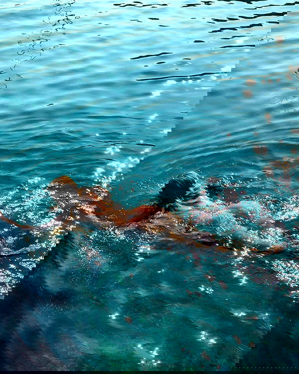 carolinezalog carolinezalog archive image