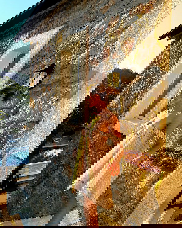 carolinezalog carolinezalog archive image