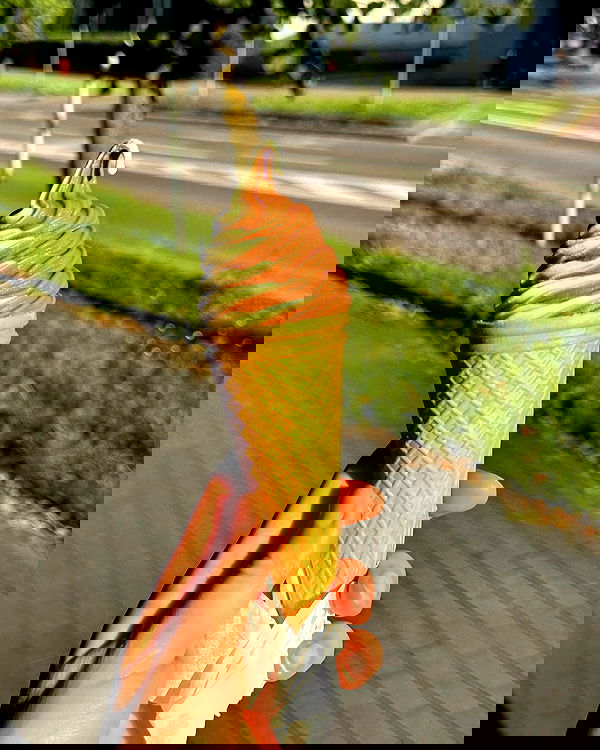 carolinezalog carolinezalog archive image