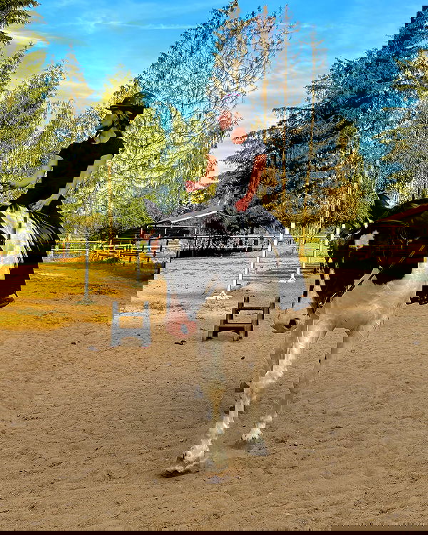 carolinezalog carolinezalog archive image