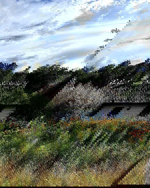 carolinezalog carolinezalog archive image