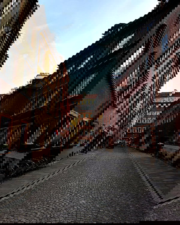 carolinezalog carolinezalog archive image